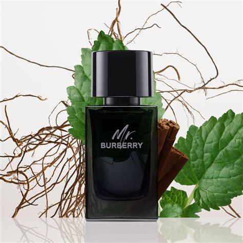 descrizione mr burberry|mr burberry eau de parfum.